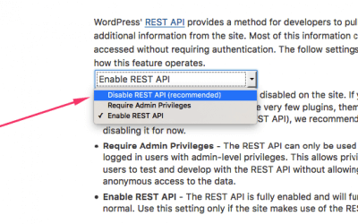 How to Disable the WordPress API, AKA JSON REST API